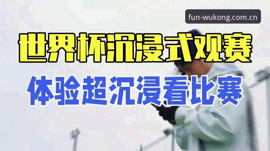 悟空体育更新下载不了怎么办 世界杯热潮下的签证困局:悟空体育平台深度评测观赛体验
