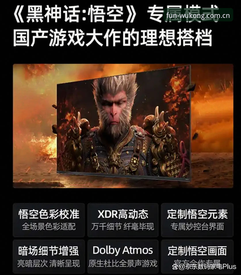 悟空体育活动资讯iOS版深度评测：从赛事数据到沉浸体验的全方位分析